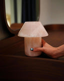 Athena -Pink Onyx House Light | Cute Night Lamps | Small Table Lamp